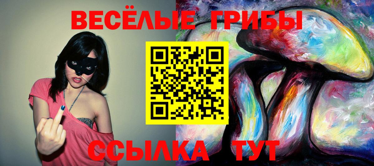 Владикавказ  Галлюциногенные грибы Psilocybine cubensis  Вход с VPN 